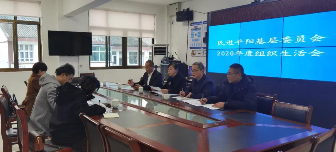 平阳民进召开领导班子组织生活会