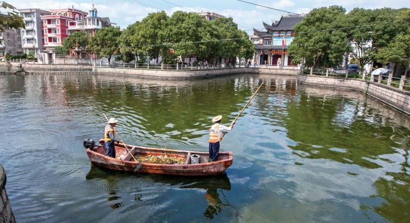 温州五水共治上了新闻联播