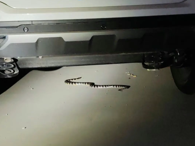 ��ҹͻ��������һ�����Զ���Ǳ����