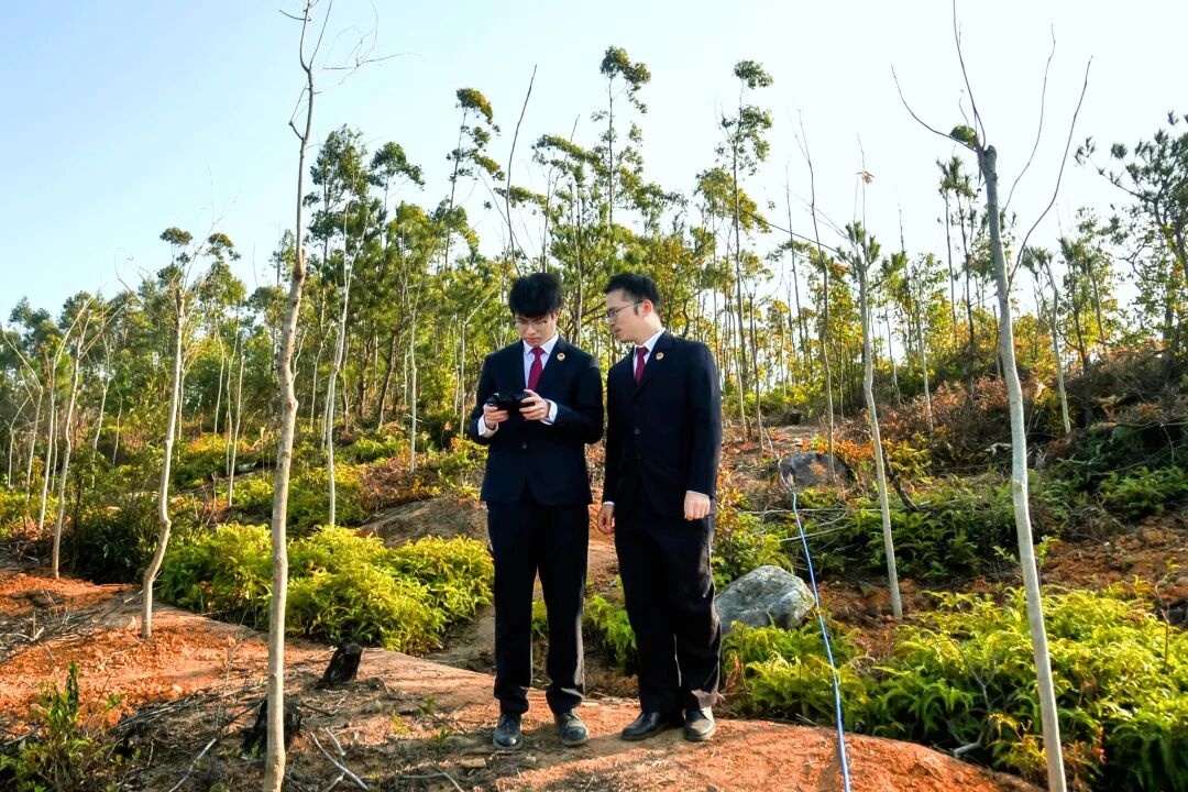 ��ز�ֲ��һ׮���ְ������ɽͷ��������