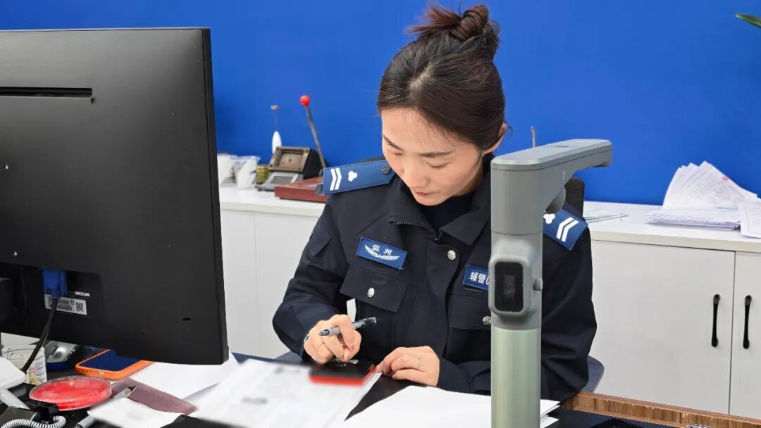 �ɰ�����ɳ���������������������ͳ�����